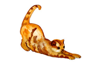 Cat Stretching in Watercolor Style and Cats