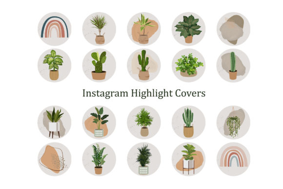 Indoor Plants Instagram Stories Covers and Social Media Templates