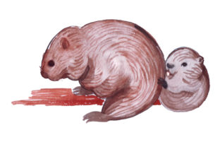 Mom and Baby Beavers in Watercolor Style