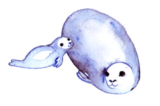Mom and Baby Seals in Watercolor Style