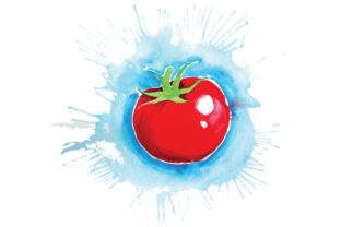 Tomato in Watercolor Paint Splatter Style & Food Amp