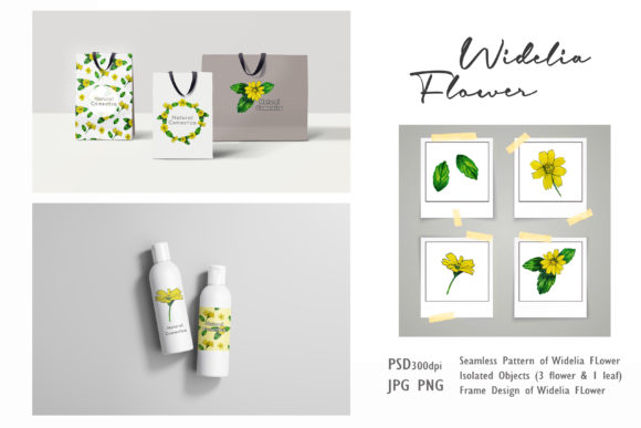 Yellow Widelia Flower Review
